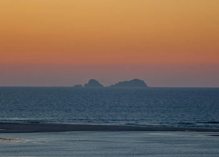 Paladina 포즈도아렐로