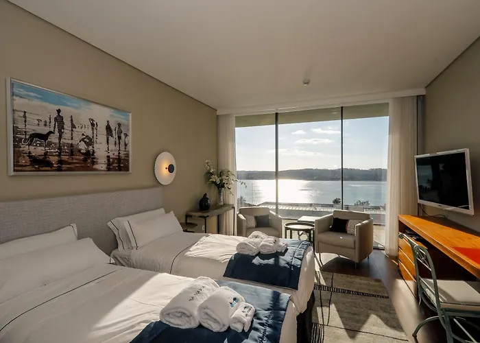 Paladina 포즈도아렐로